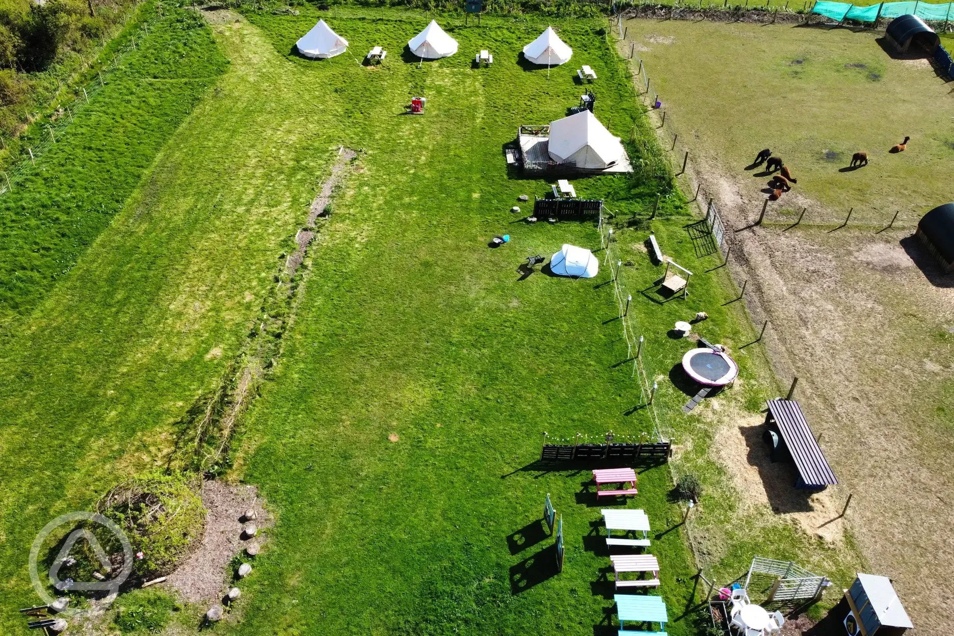 Aerial of the bell tent and alpacas