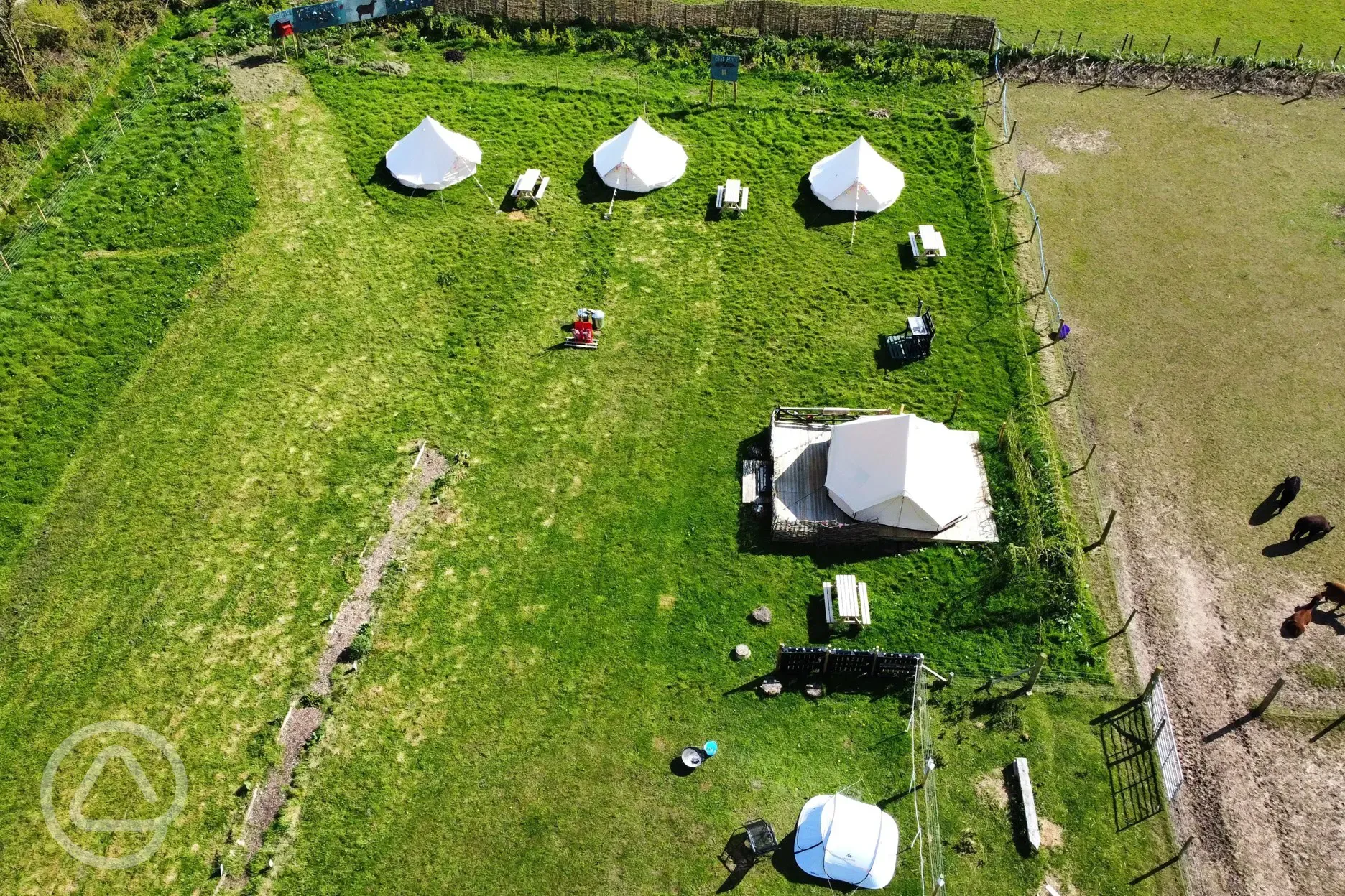 Aerial of the bell tents and alpacas