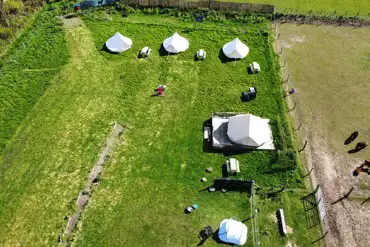 Aerial of the bell tents and alpacas