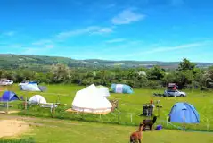 Non electric grass pitches next to the alpacas at Flowerdew Farm