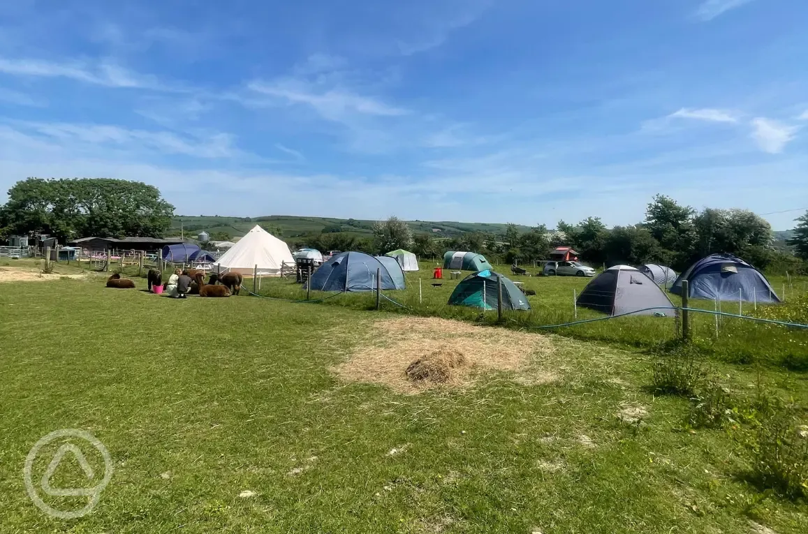 Non electric grass pitches