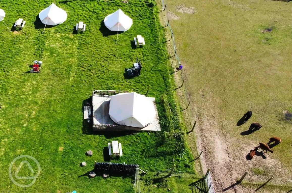 Aerial of the bell tents and alpacas