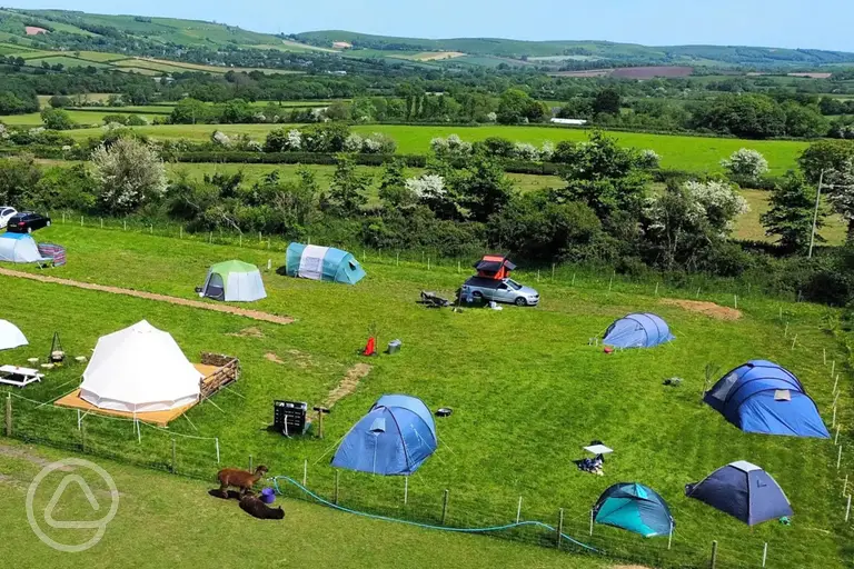 Aerial of the camping field and alpacas at Flowerdew Farm