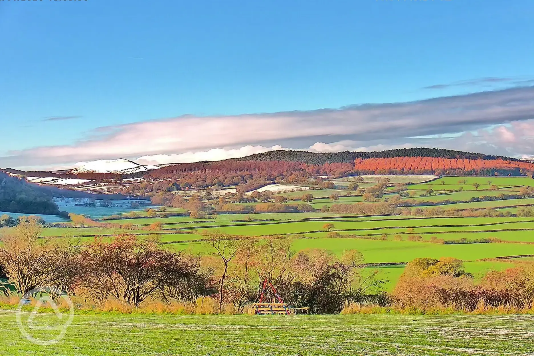 Snowy views from Spring Field Dark Skies
