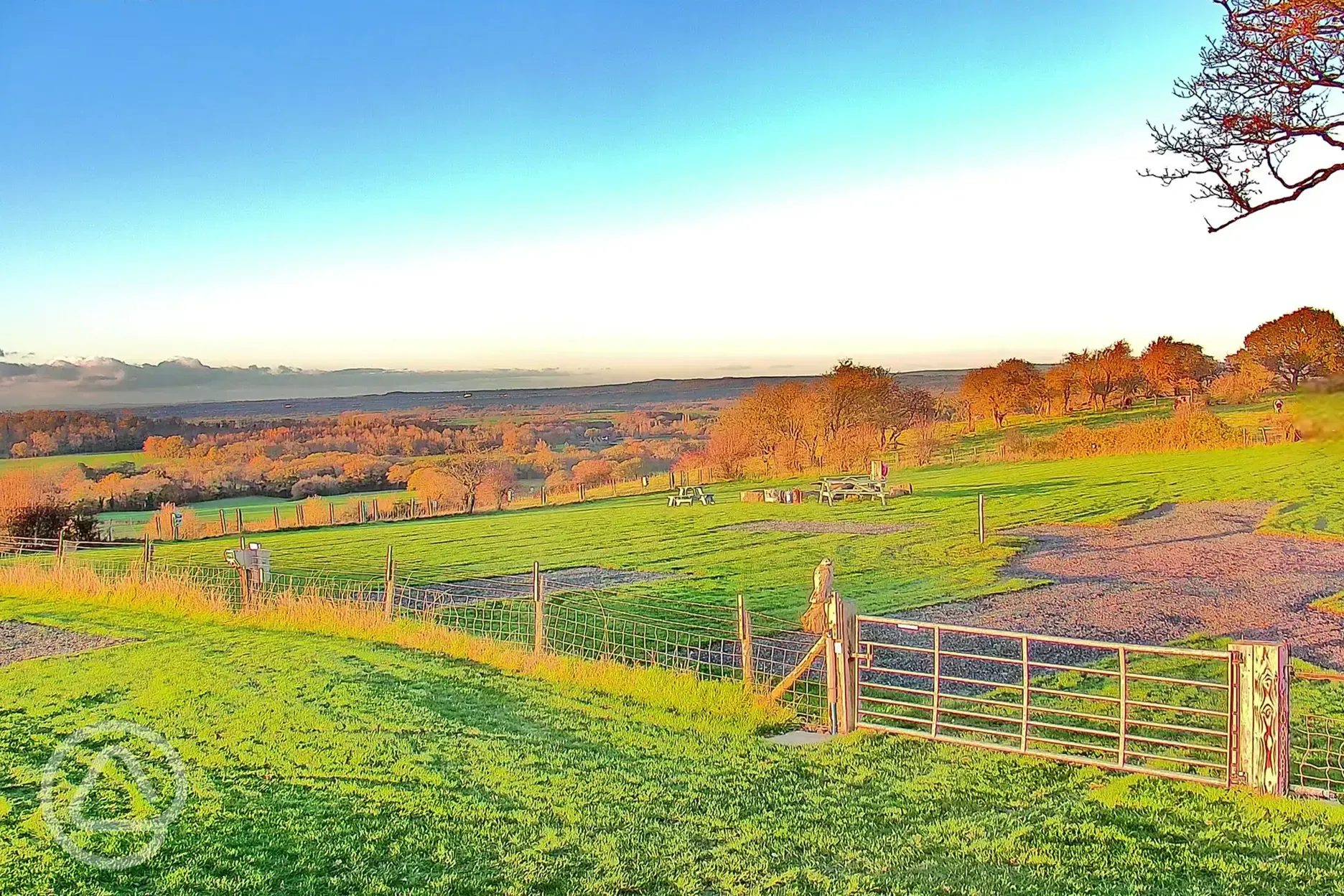 View across Spring Field Dark Skies