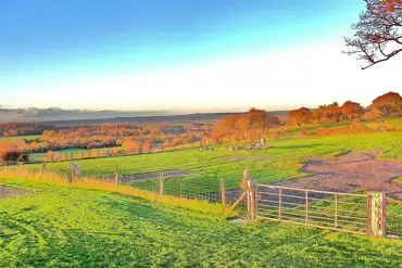 View across Spring Field Dark Skies