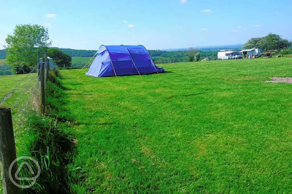 Medium size tent on grass pitches 