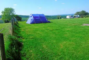 Medium size tent on grass pitches 