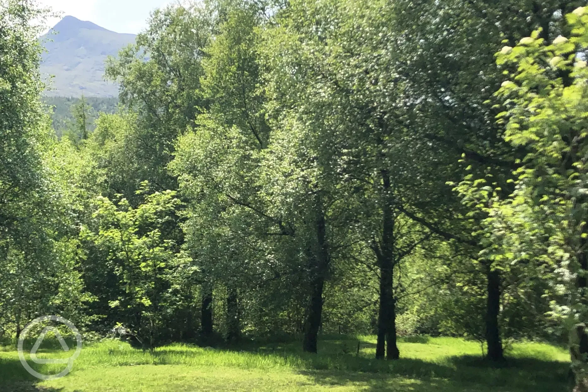 Non electric grass tent pitches with mountain views