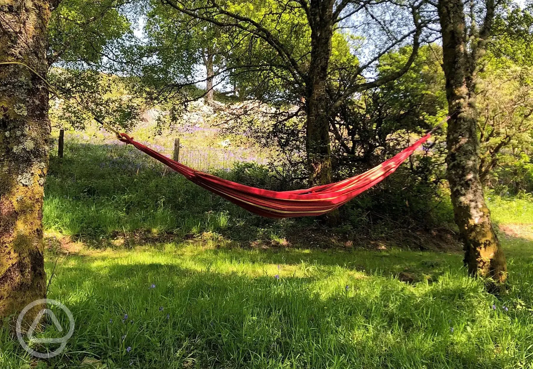 Non electric grass tent pitches - hammocks welcome