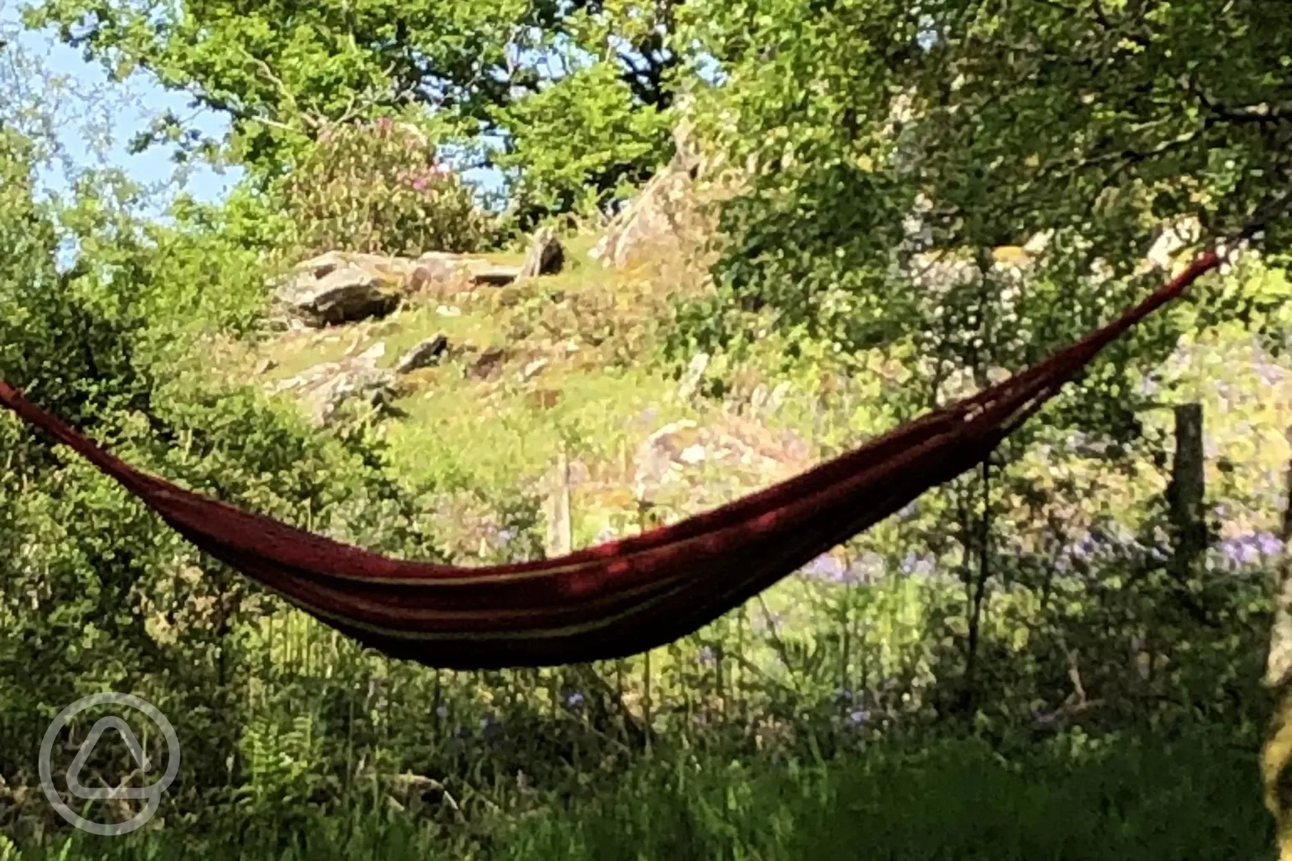 Relax in available hammocks