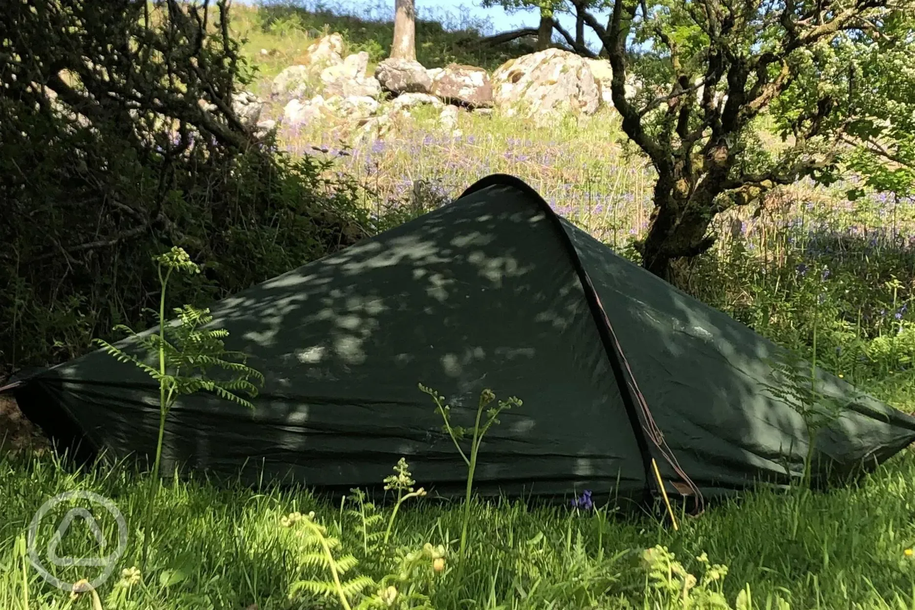 Non electric grass tent pitches