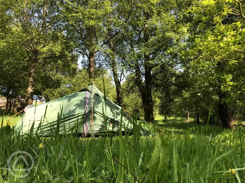 Pitch and Hike in Betws Y Coed Conwy book online now