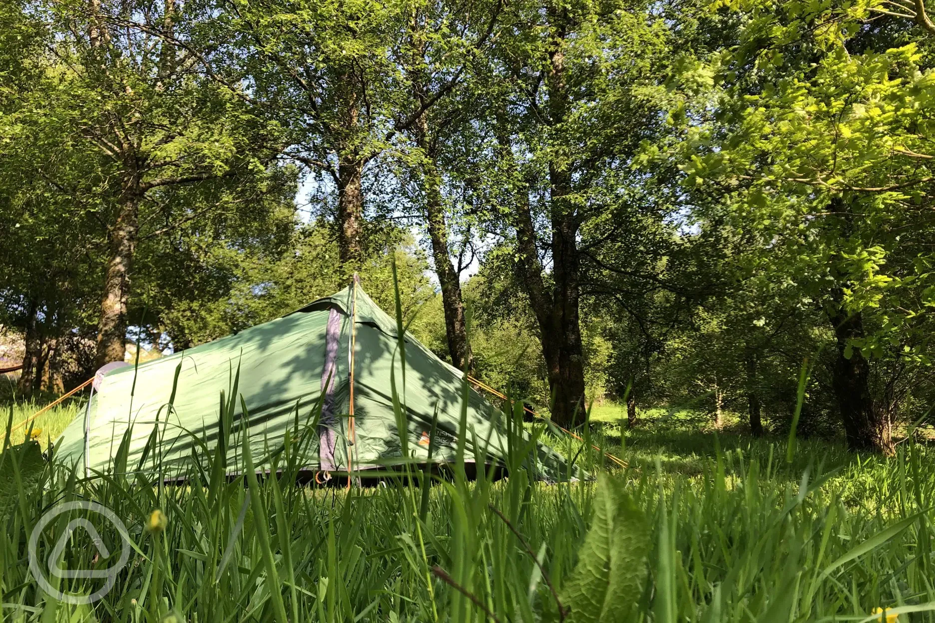 Non electric grass tent pitches