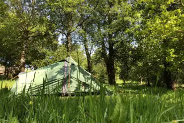 Non electric grass tent pitches