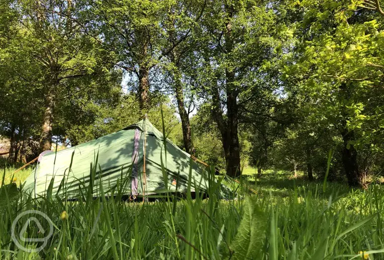 Non electric grass tent pitches