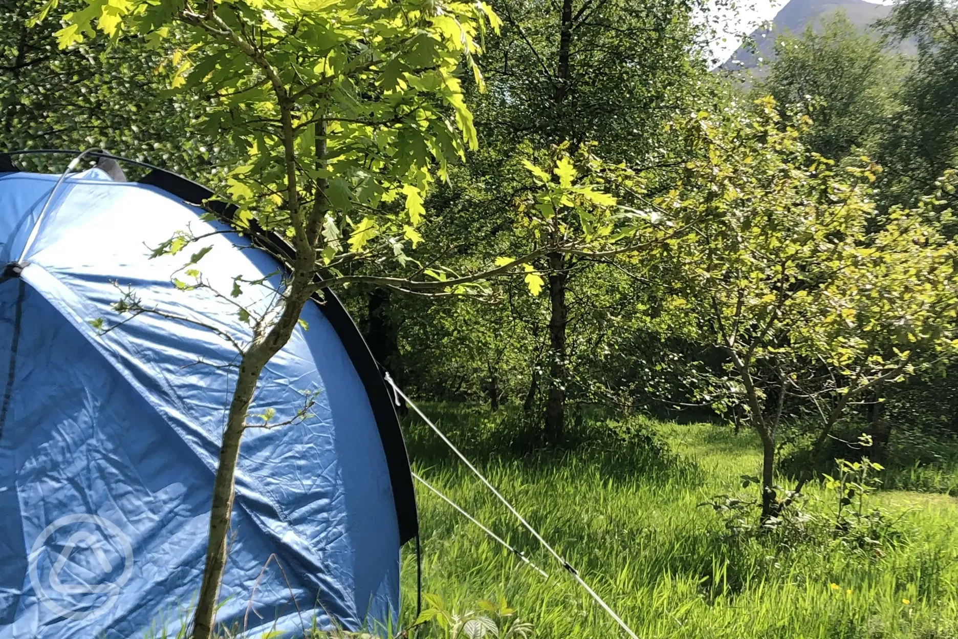 Non electric grass tent pitches