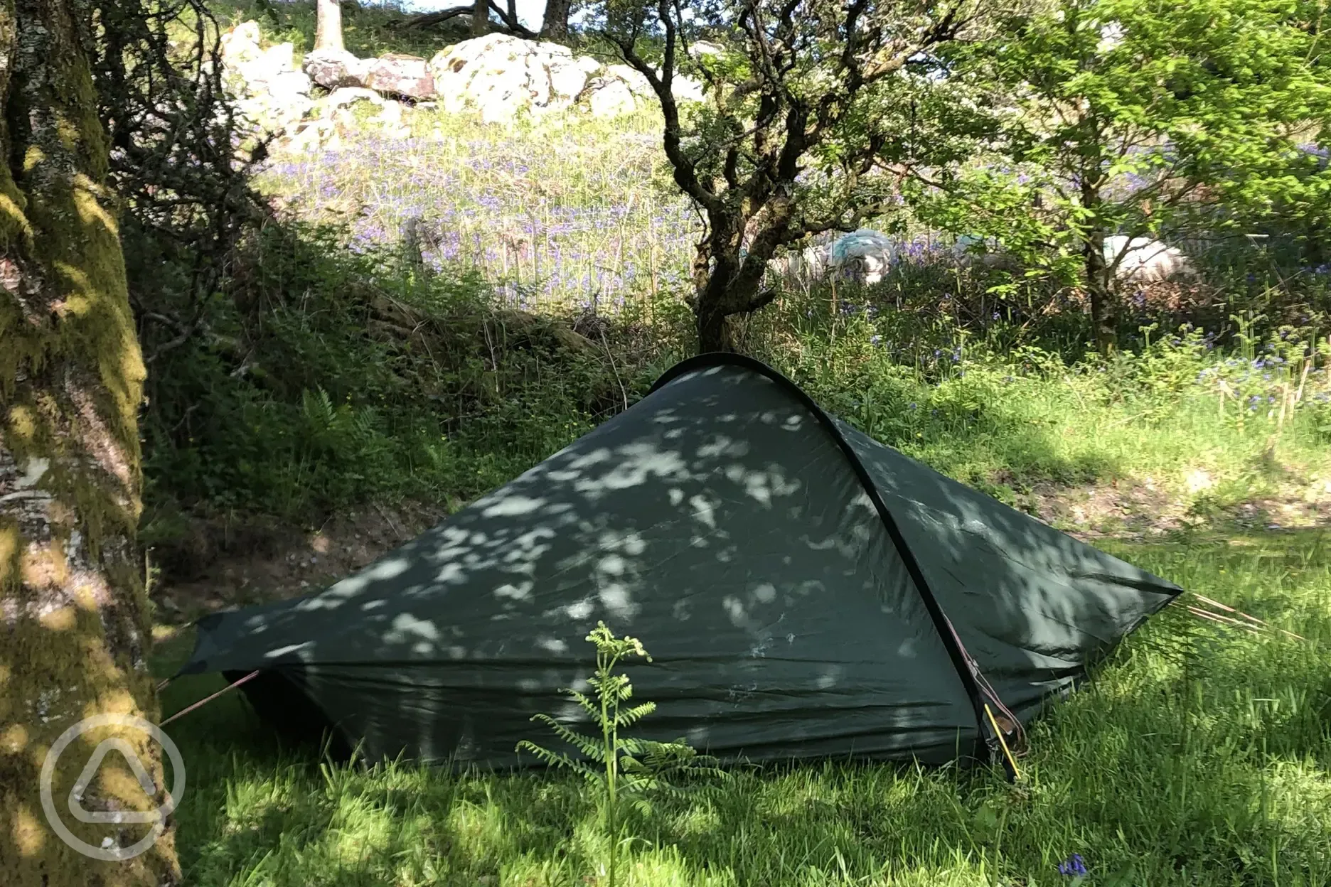 Non electric grass tent pitches