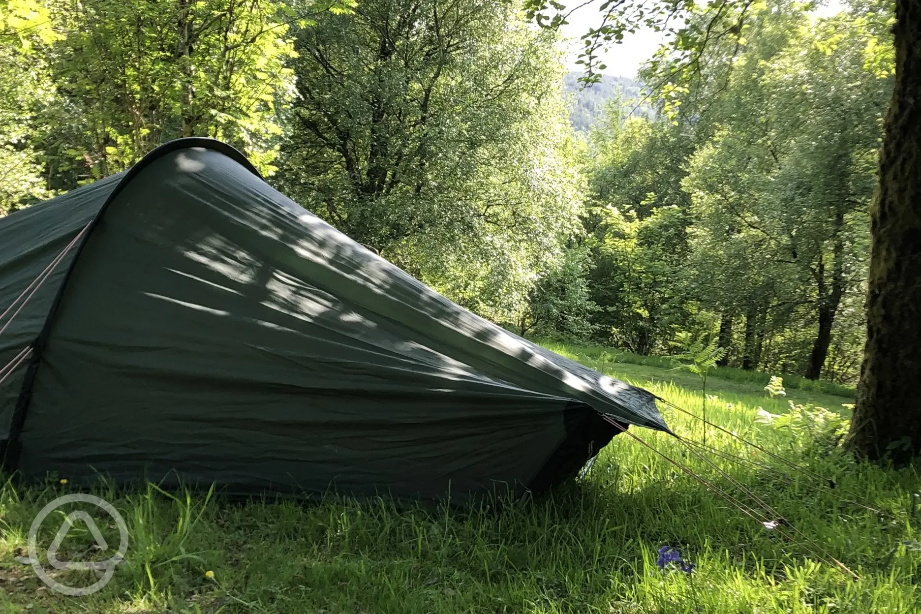 Non electric grass tent pitches