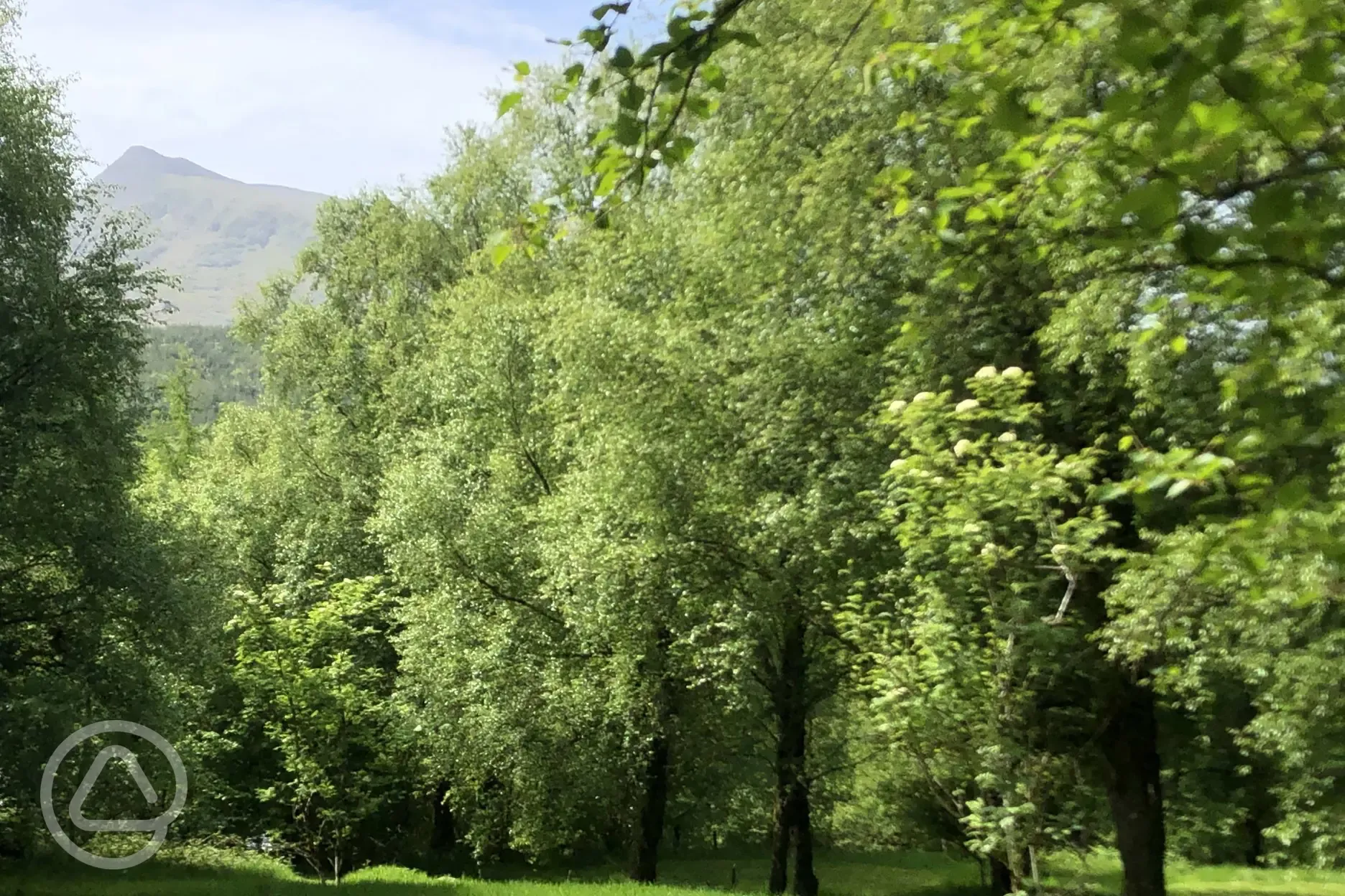 Non electric grass tent pitches with mountain views