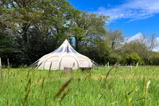 Knowle Meadow Camping, Knowle St Giles, Somerset (8 miles)
