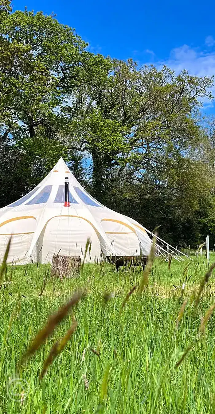 Knowle Meadow Camping in Knowle St Giles, Somerset book online now