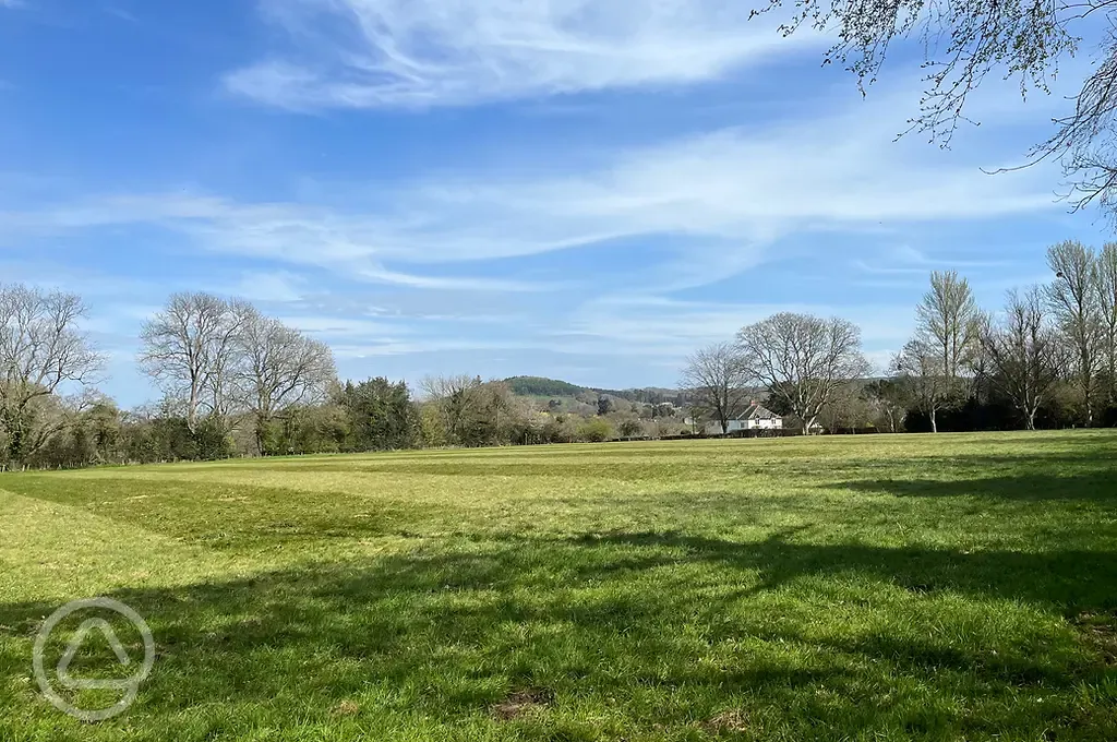 View of the site