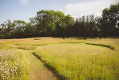 Non electric grass pitches Non electric grass pitches