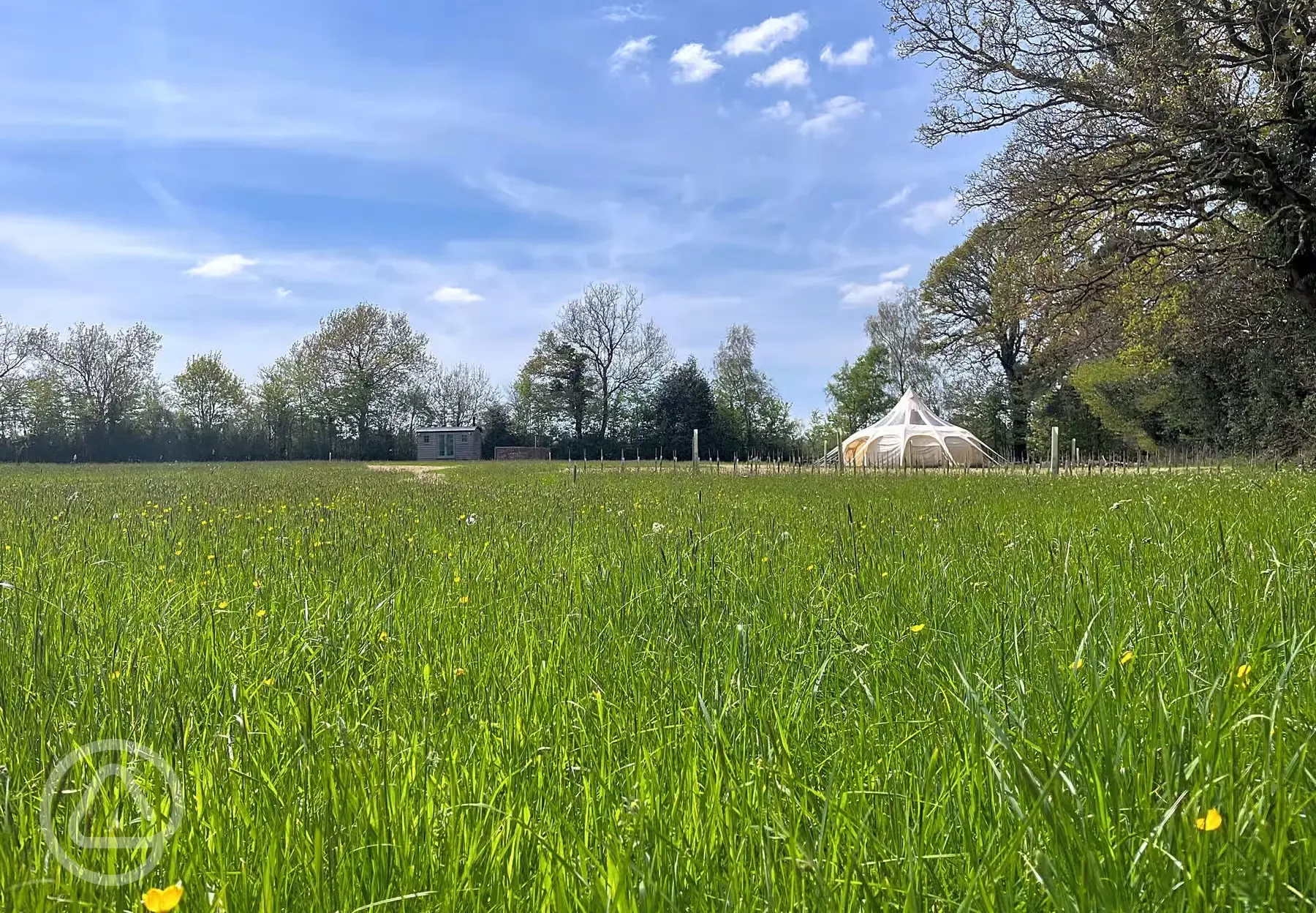 Lotus belle tent