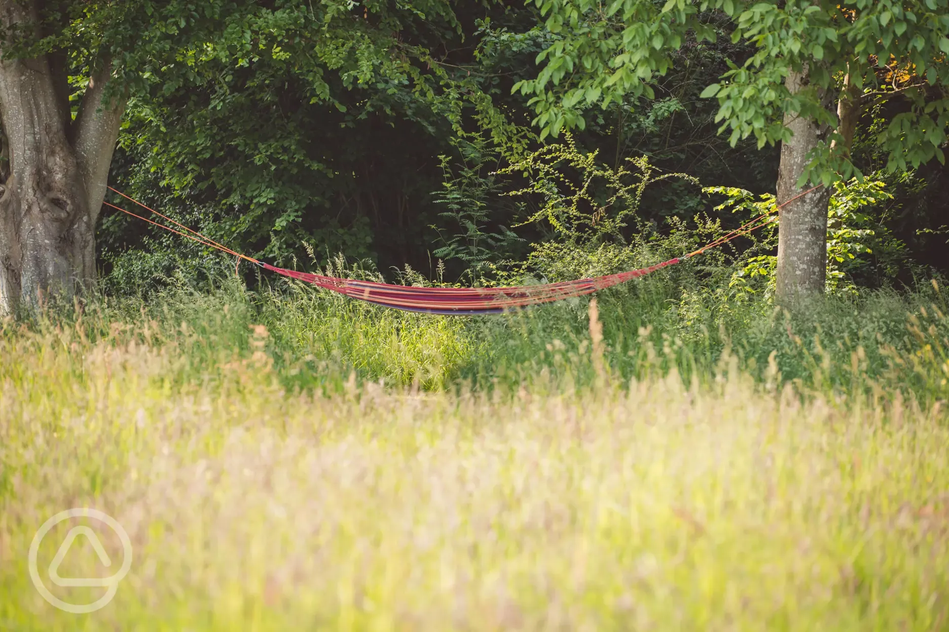Hammock