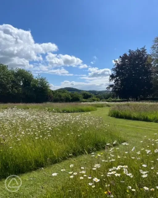 Non electric grass pitches 