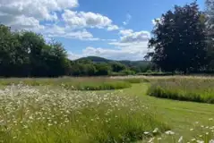 Non electric grass pitches Non electric grass pitches