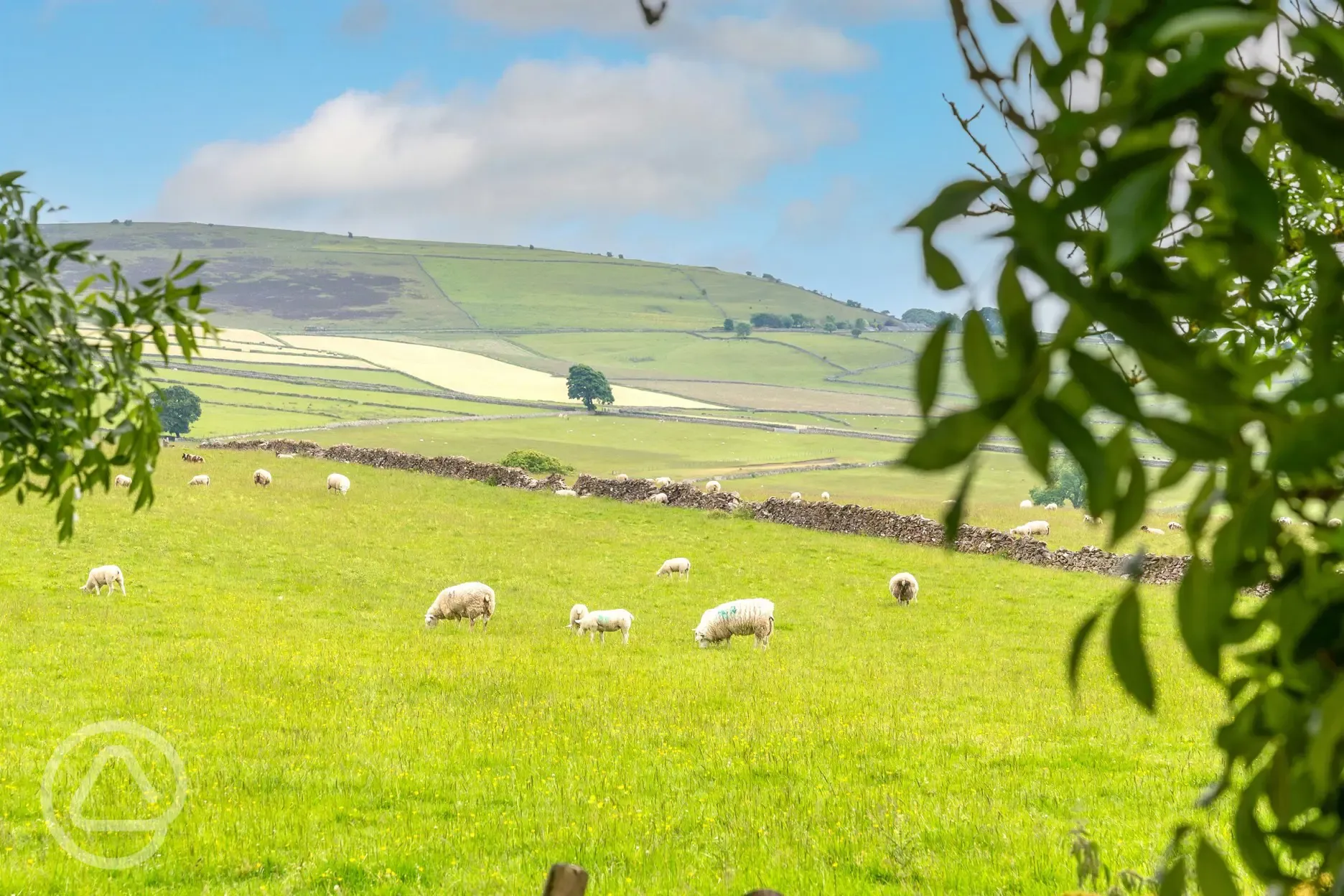 Countryside views from the site