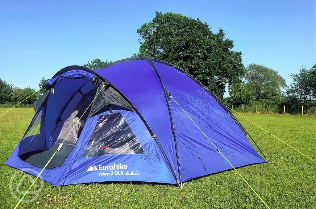 Camping pitches