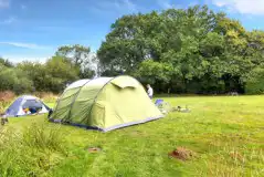 Non electric grass tent pitches with direct woodland walk access (Chill Out) Non electric grass tent pitches with direct woodland walk access (Chill Out)