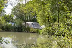 Electric grass tent pitches overlooking Willow lake (Lake View) Electric grass tent pitches overlooking Willow lake (Lake View)