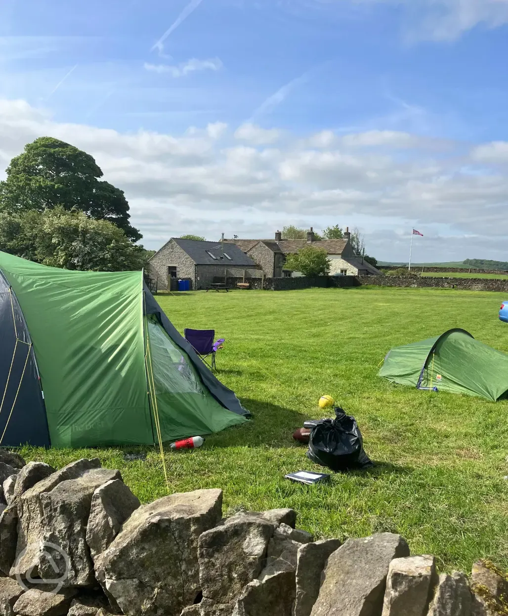 Non electric grass pitches