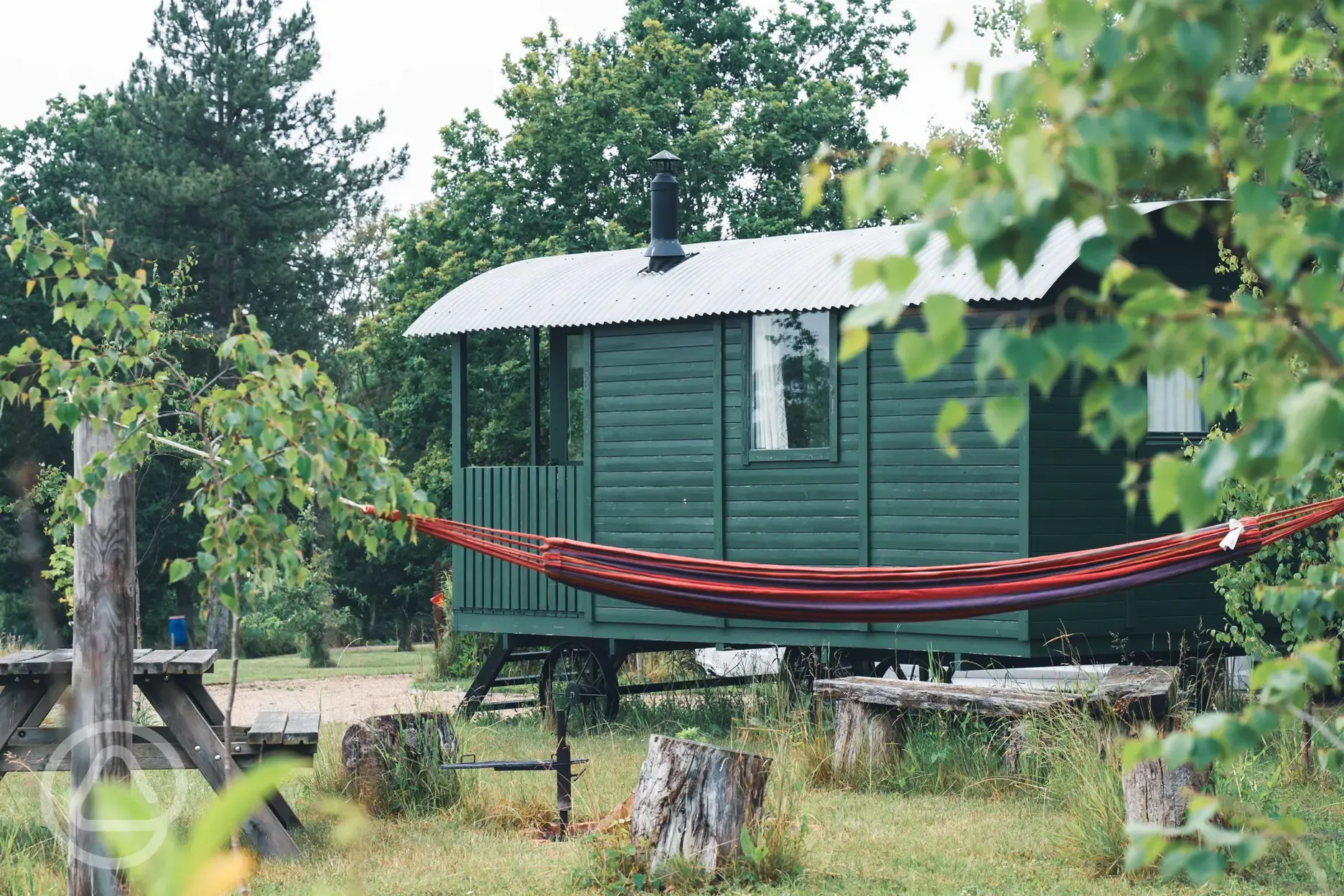 Woodpecker shepherd's hut and hammock