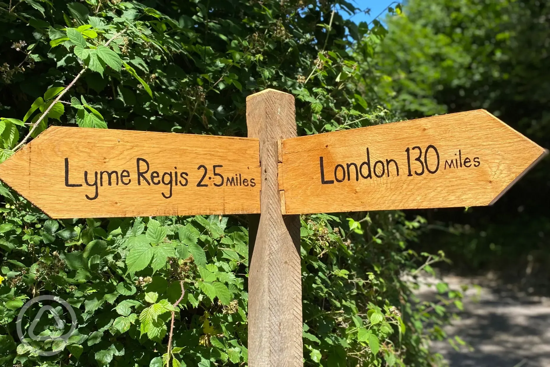 A ten minute drive from Lyme Regis