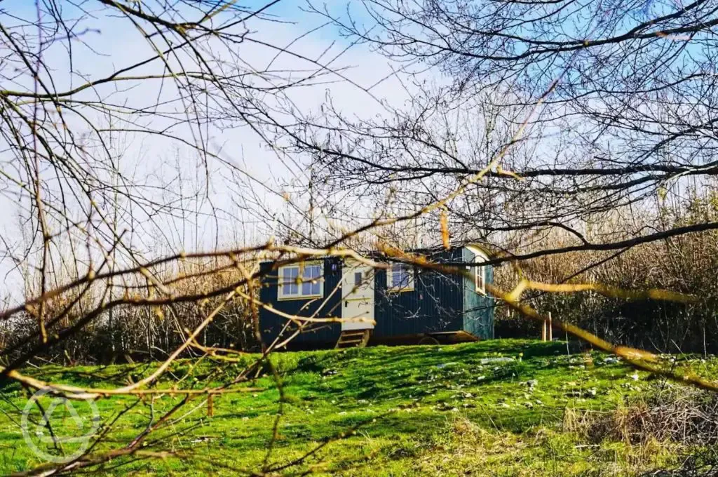 Oak shepherd's hut