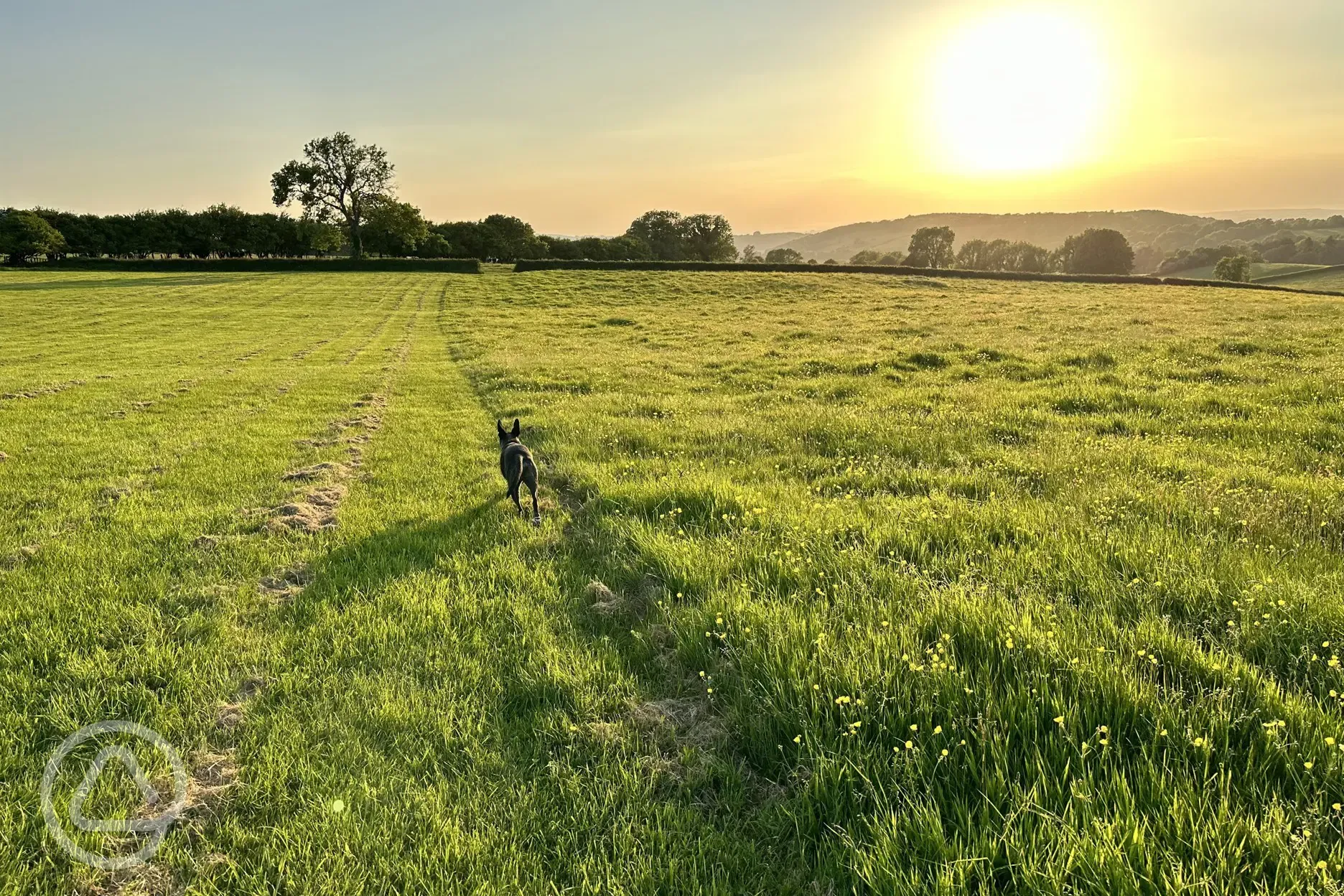 Sunset at the site