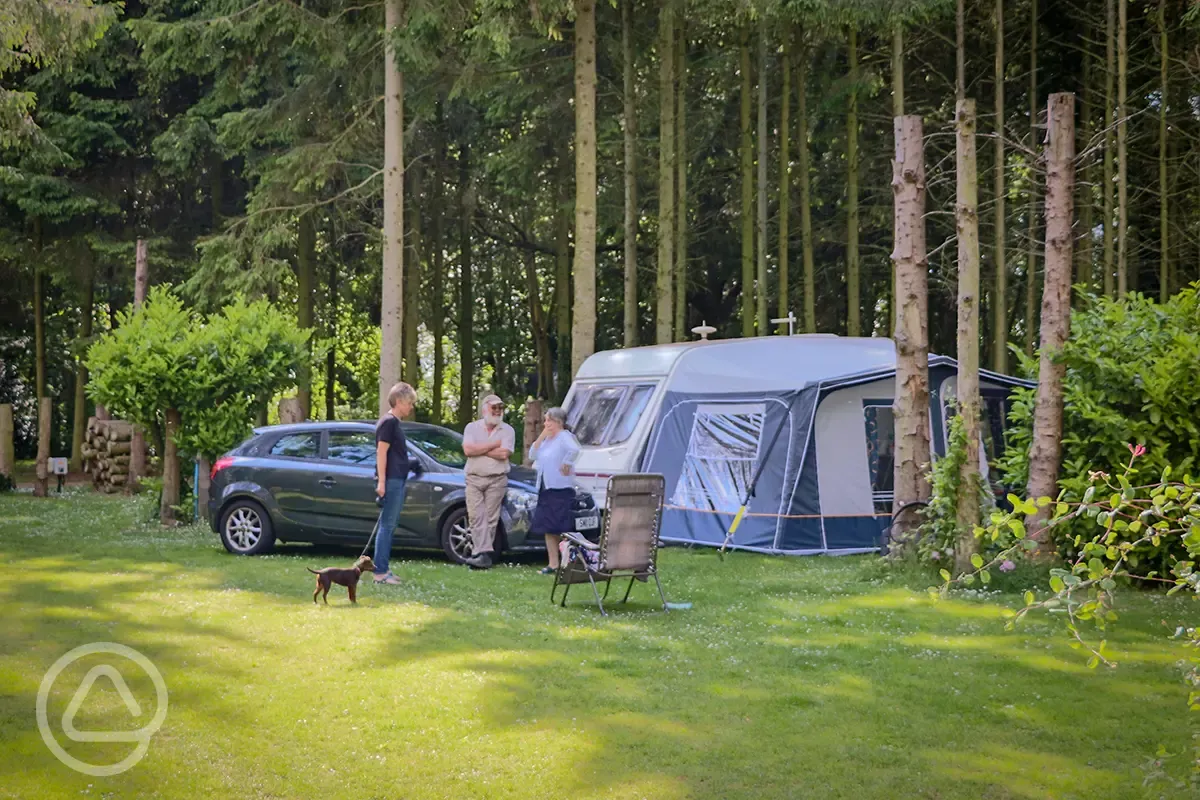 Galley hill farm sheltered pitches