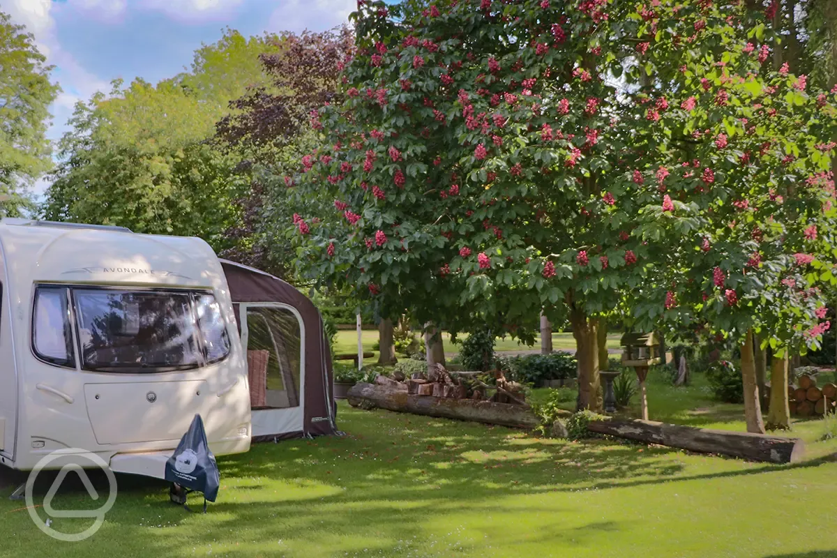 Galley hill farm campsite