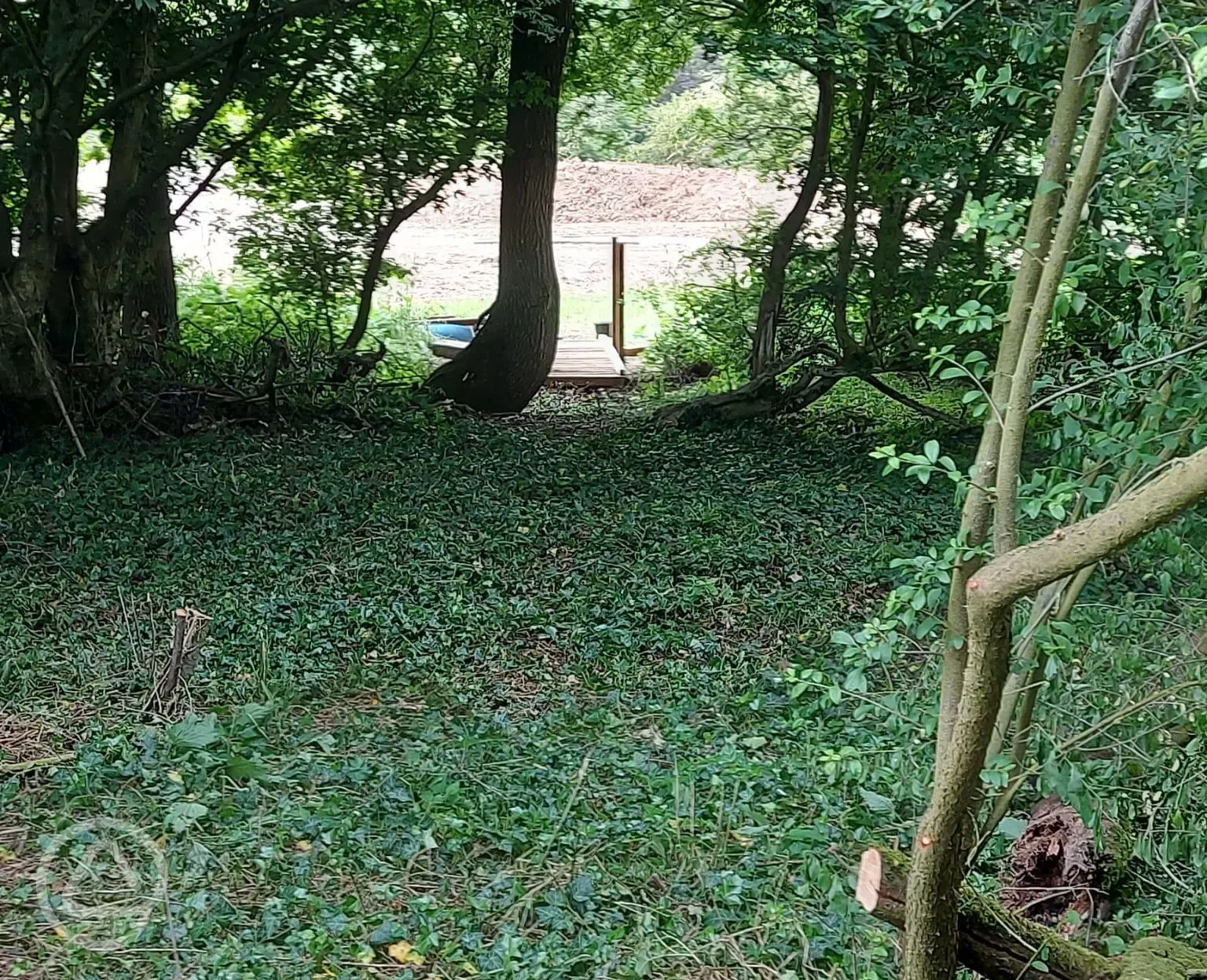 Bridge to nearby woodland