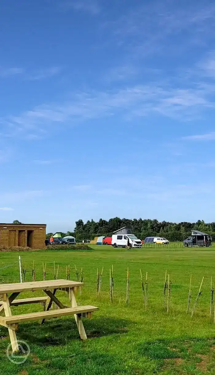 Meadows at Park Farm in King's Lynn, Norfolk
