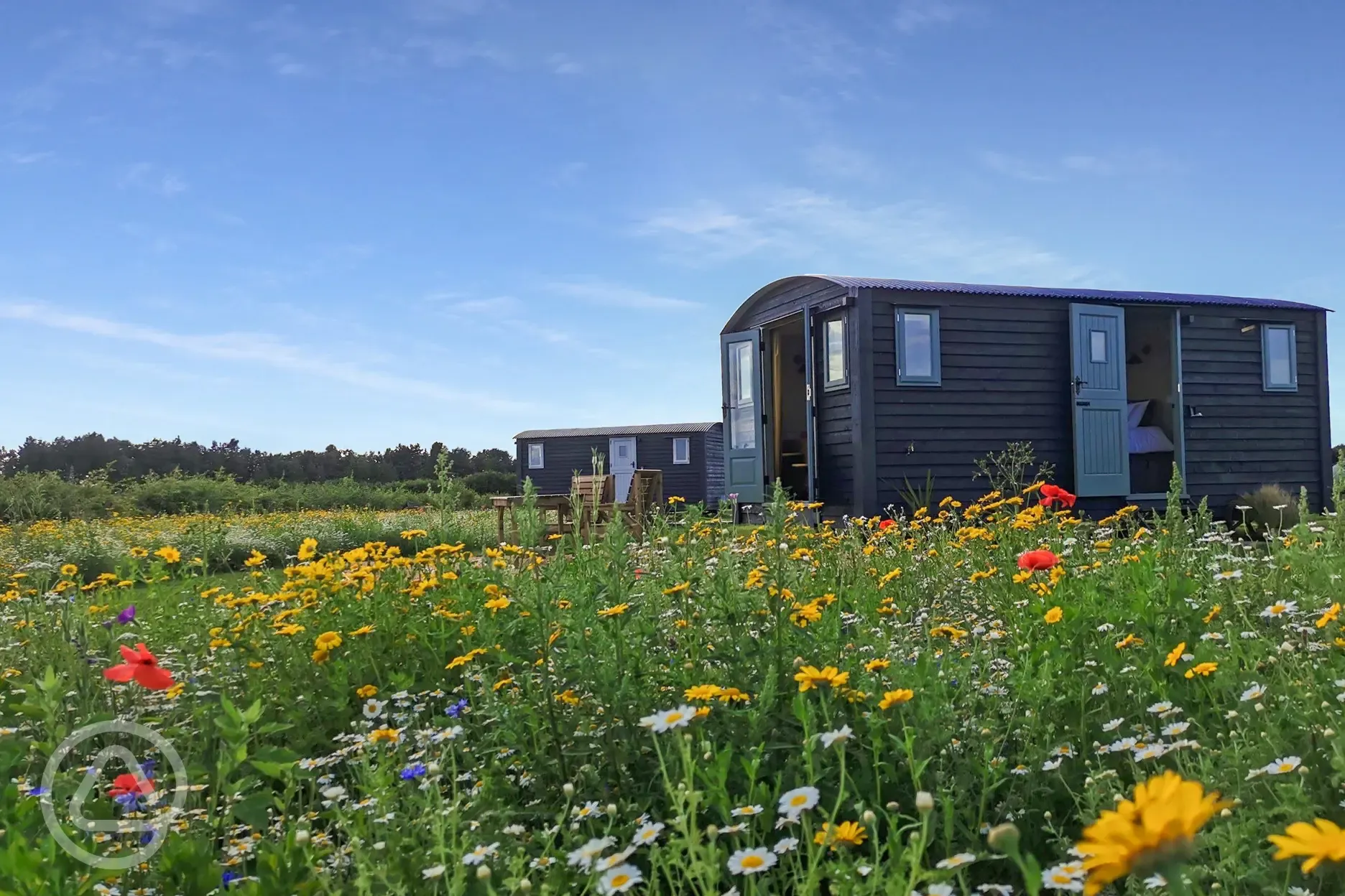 Shepherd's hut