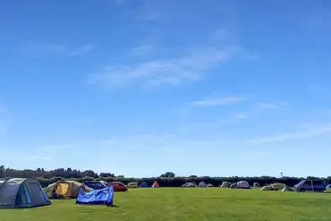 Grass pitches