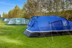 Tents on spacious grass pitches at Snettisham Meadows