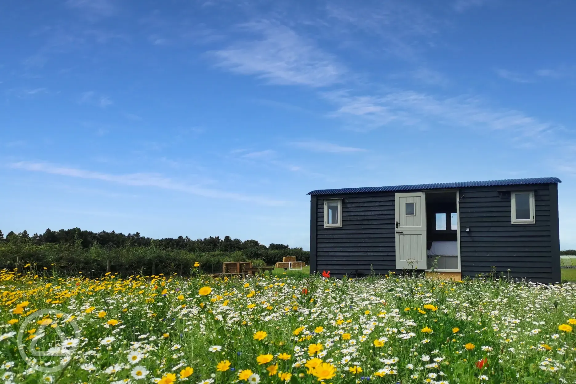 Shepherd's hut