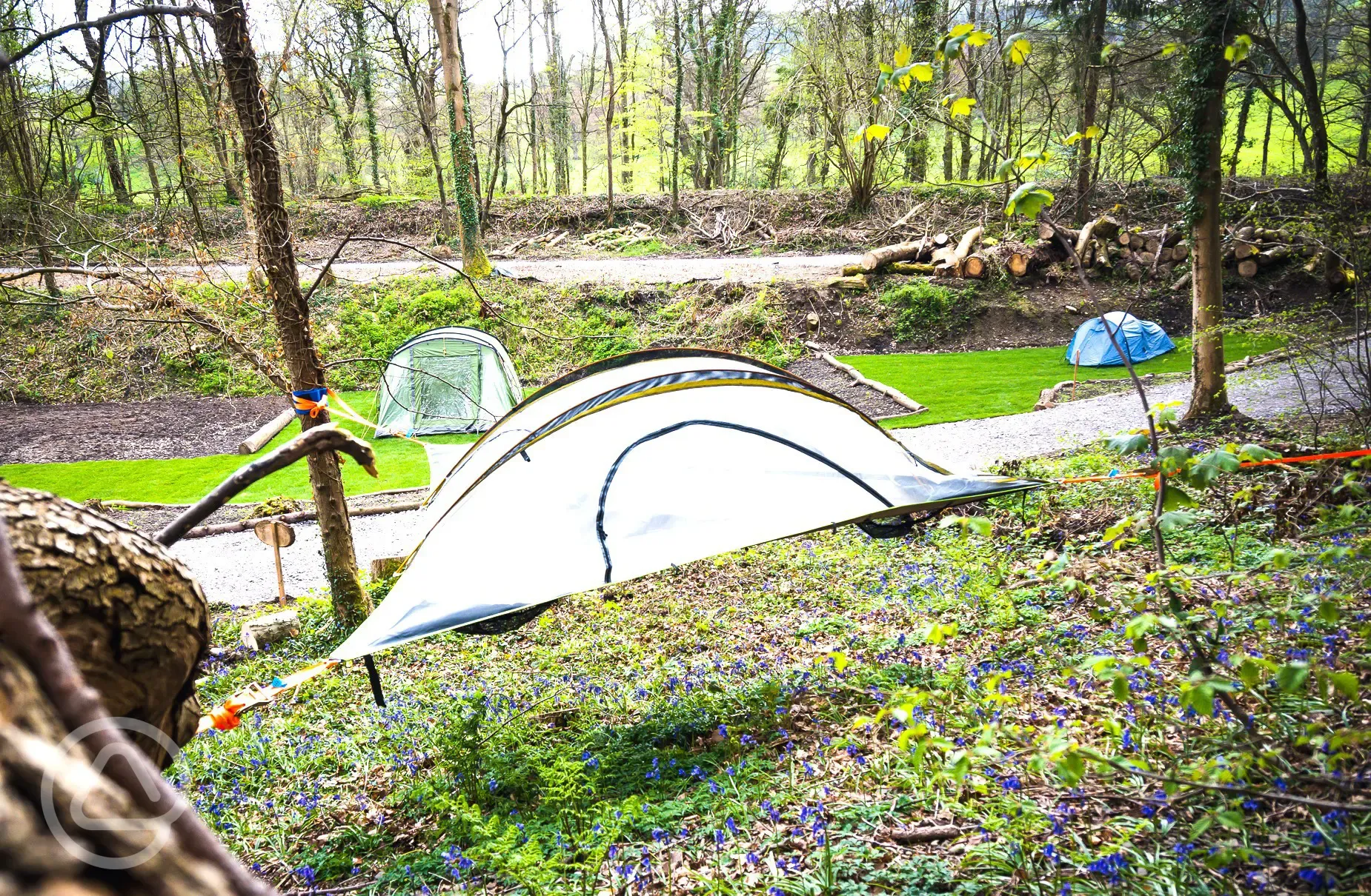 Tree tents